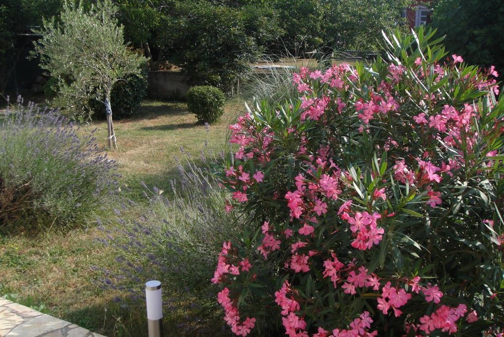 Adriana Holiday Apartment Labin  Exterior foto